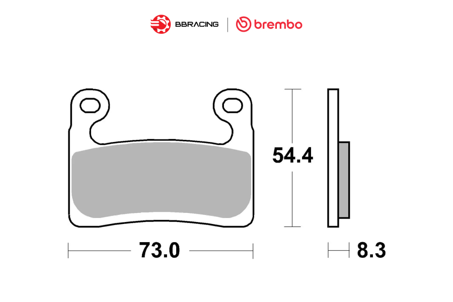 Bố Thắng Brembo BMW S1000 R 2021-22 (Hayes) Trước 07GR90SA